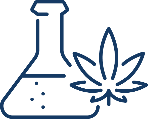 Cannabis Extraction